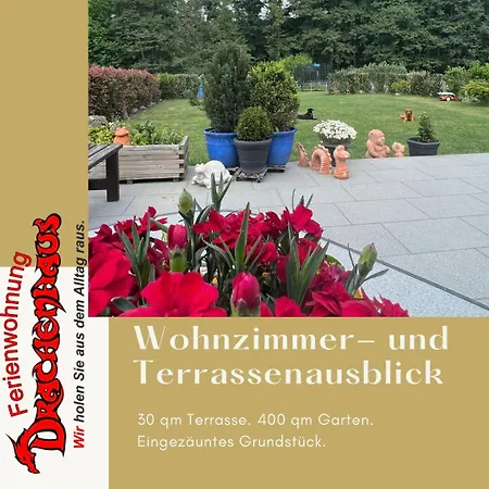 Drachenhaus Wir Holen Sie Aus Dem Alltag Raus * Rimbach (Hessen)