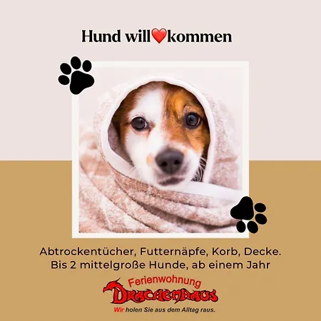 Appartement Drachenhaus Wir Holen Sie Aus Dem Alltag Raus Rimbach (Hessen)