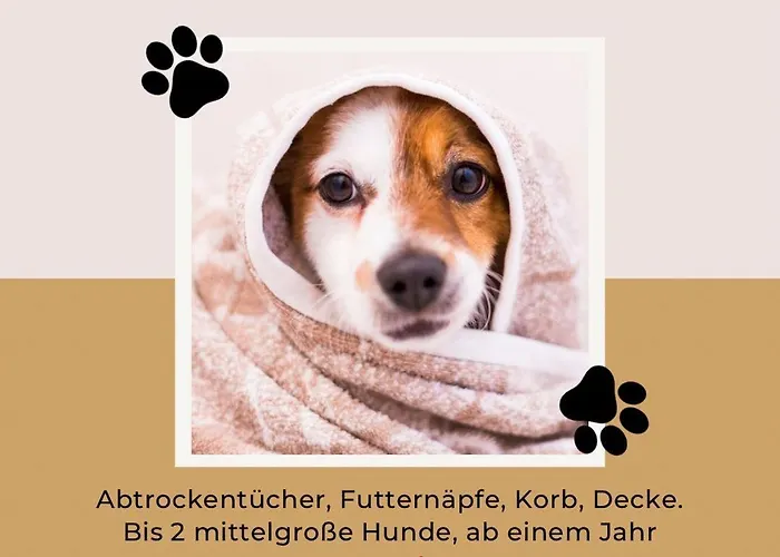 Apartment Drachenhaus Wir Holen Sie Aus Dem Alltag Raus Rimbach (Hessen)