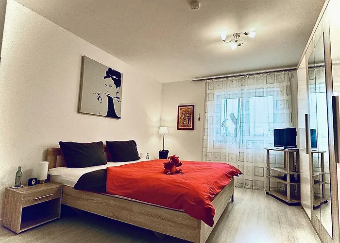 Drachenhaus Wir Holen Sie Aus Dem Alltag Raus * Rimbach (Hessen)